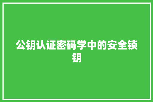 公钥认证密码学中的安全锁钥