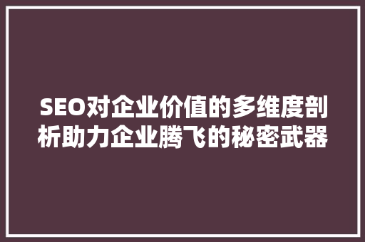 SEO对企业价值的多维度剖析助力企业腾飞的秘密武器
