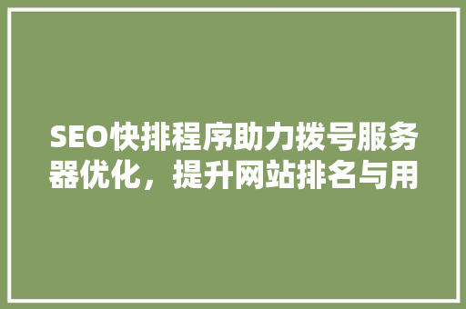 SEO快排程序助力拨号服务器优化，提升网站排名与用户体验