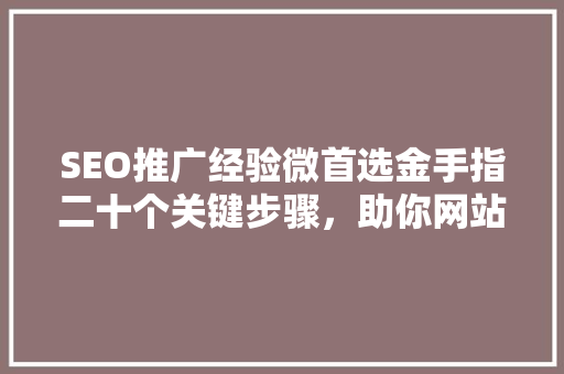 SEO推广经验微首选金手指二十个关键步骤，助你网站排名攀升