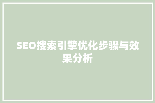 SEO搜索引擎优化步骤与效果分析