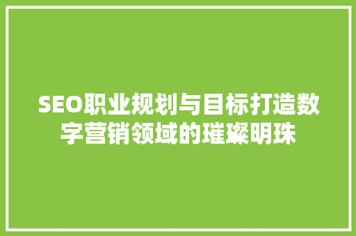 SEO职业规划与目标打造数字营销领域的璀璨明珠