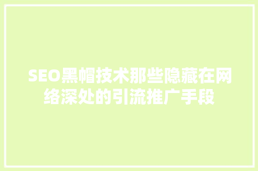 SEO黑帽技术那些隐藏在网络深处的引流推广手段
