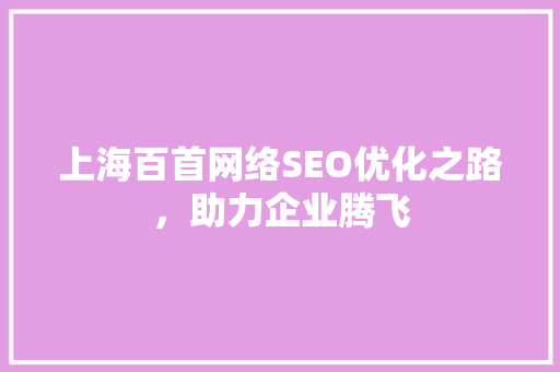 上海百首网络SEO优化之路，助力企业腾飞