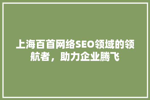 上海百首网络SEO领域的领航者，助力企业腾飞