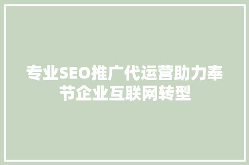 专业SEO推广代运营助力奉节企业互联网转型