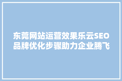 东莞网站运营效果乐云SEO品牌优化步骤助力企业腾飞