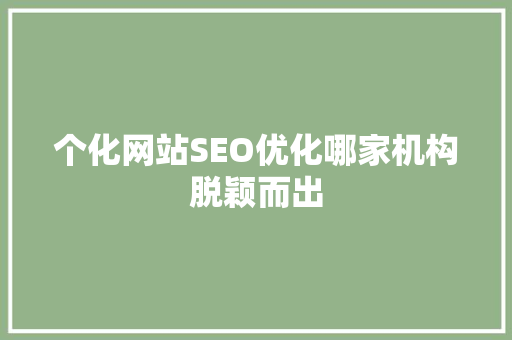 个化网站SEO优化哪家机构脱颖而出