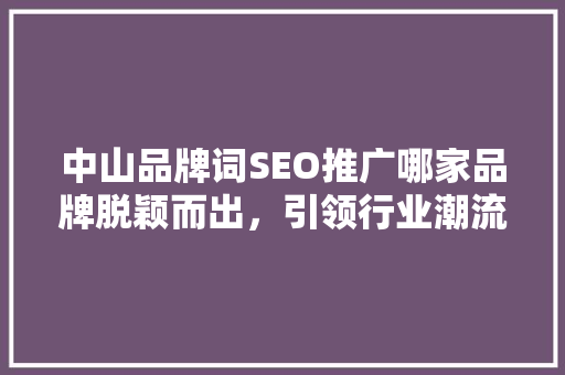 中山品牌词SEO推广哪家品牌脱颖而出，引领行业潮流