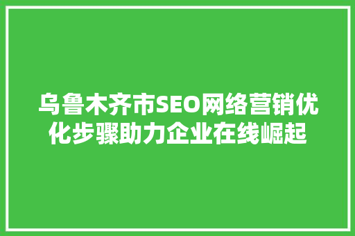 乌鲁木齐市SEO网络营销优化步骤助力企业在线崛起
