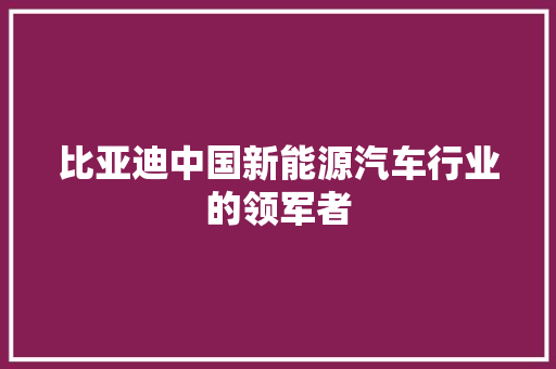 比亚迪中国新能源汽车行业的领军者