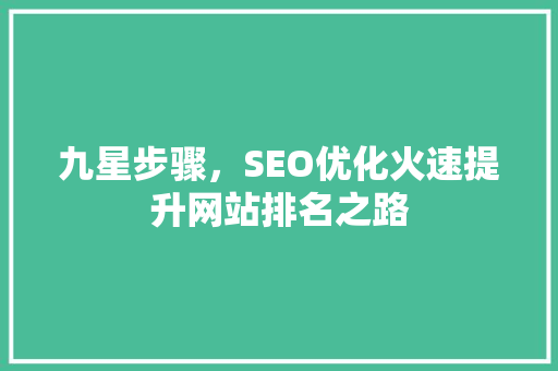 九星步骤，SEO优化火速提升网站排名之路
