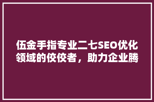 伍金手指专业二七SEO优化领域的佼佼者，助力企业腾飞