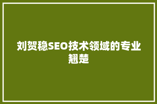 刘贺稳SEO技术领域的专业翘楚