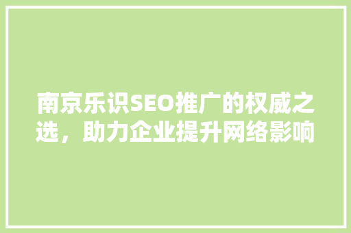 南京乐识SEO推广的权威之选，助力企业提升网络影响力