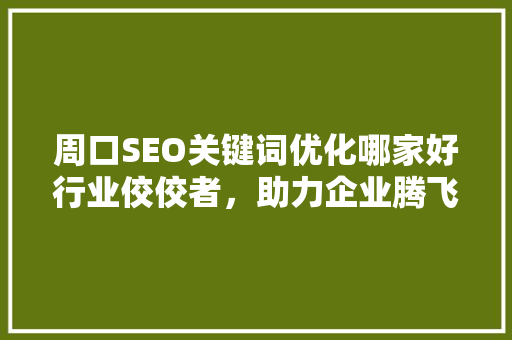 周口SEO关键词优化哪家好行业佼佼者，助力企业腾飞