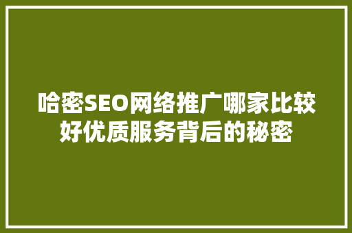 哈密SEO网络推广哪家比较好优质服务背后的秘密