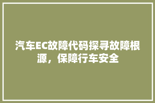 汽车EC故障代码探寻故障根源，保障行车安全