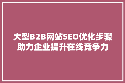 大型B2B网站SEO优化步骤助力企业提升在线竞争力