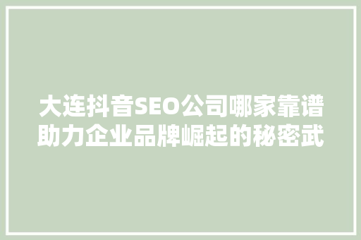 大连抖音SEO公司哪家靠谱助力企业品牌崛起的秘密武器