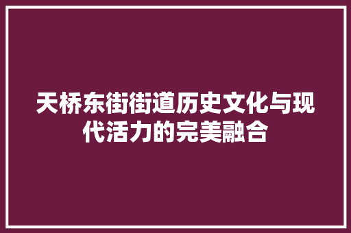 天桥东街街道历史文化与现代活力的完美融合