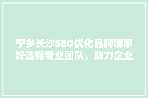 宁乡长沙SEO优化品牌哪家好选择专业团队，助力企业腾飞