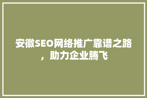 安徽SEO网络推广靠谱之路，助力企业腾飞