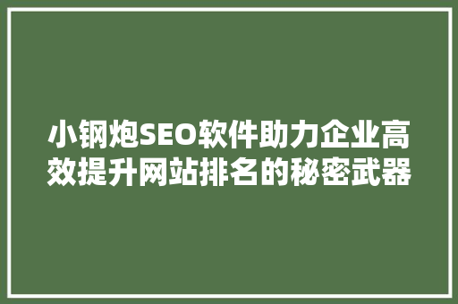 小钢炮SEO软件助力企业高效提升网站排名的秘密武器
