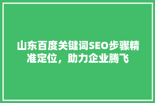 山东百度关键词SEO步骤精准定位，助力企业腾飞