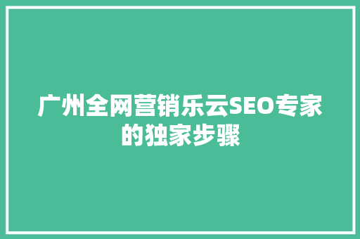 广州全网营销乐云SEO专家的独家步骤