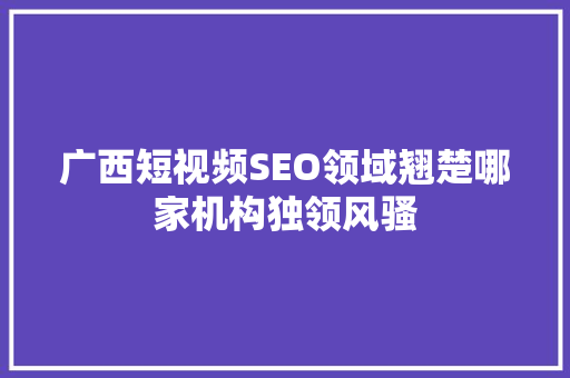 广西短视频SEO领域翘楚哪家机构独领风骚