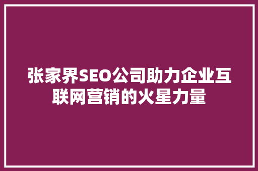 张家界SEO公司助力企业互联网营销的火星力量