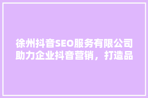 徐州抖音SEO服务有限公司助力企业抖音营销，打造品牌新高度