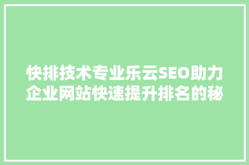 快排技术专业乐云SEO助力企业网站快速提升排名的秘密武器