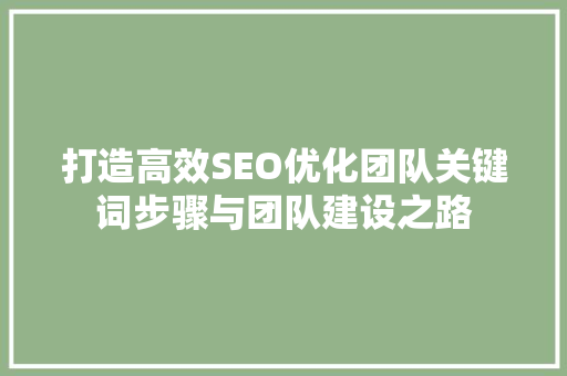打造高效SEO优化团队关键词步骤与团队建设之路