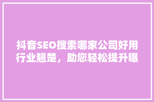 抖音SEO搜索哪家公司好用行业翘楚，助您轻松提升曝光率