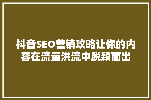 抖音SEO营销攻略让你的内容在流量洪流中脱颖而出