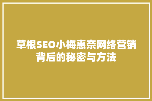 草根SEO小梅惠奈网络营销背后的秘密与方法