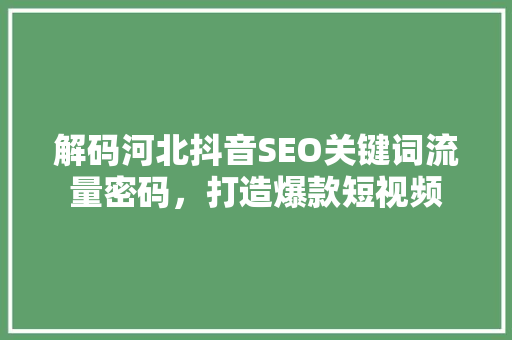 解码河北抖音SEO关键词流量密码，打造爆款短视频