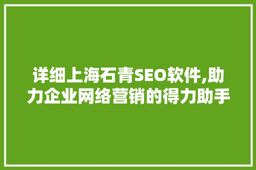 详细上海石青SEO软件,助力企业网络营销的得力助手