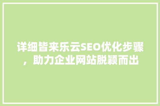 详细皆来乐云SEO优化步骤，助力企业网站脱颖而出