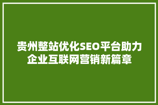 贵州整站优化SEO平台助力企业互联网营销新篇章