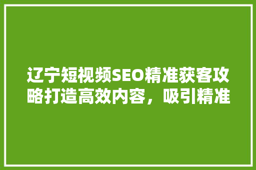 辽宁短视频SEO精准获客攻略打造高效内容，吸引精准流量