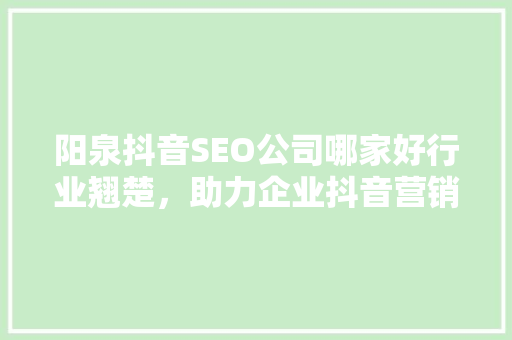 阳泉抖音SEO公司哪家好行业翘楚，助力企业抖音营销腾飞
