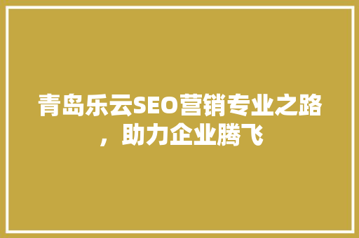 青岛乐云SEO营销专业之路，助力企业腾飞