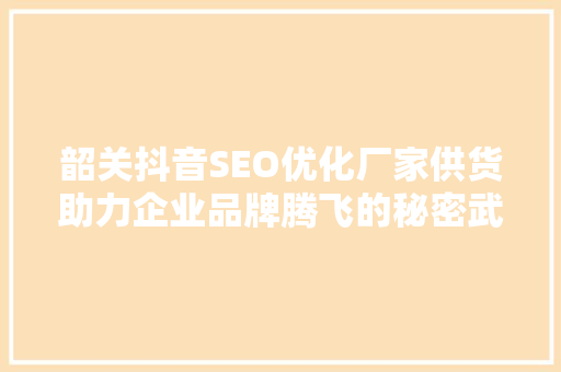 韶关抖音SEO优化厂家供货助力企业品牌腾飞的秘密武器