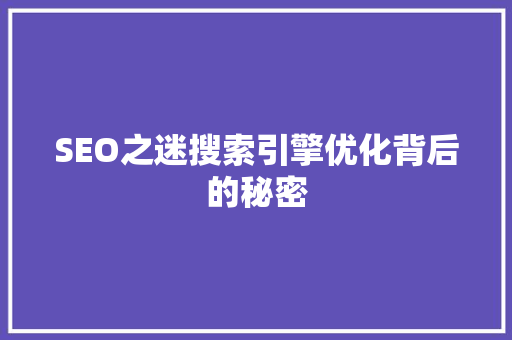 SEO之迷搜索引擎优化背后的秘密