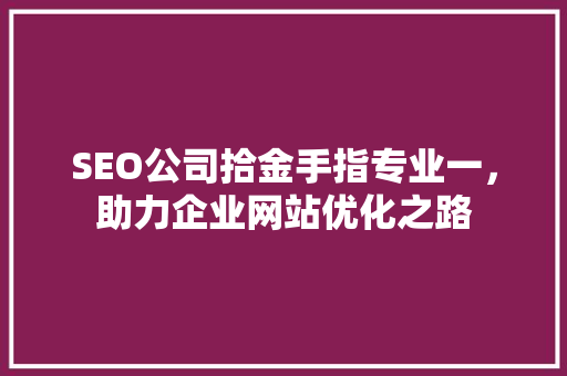 SEO公司拾金手指专业一，助力企业网站优化之路