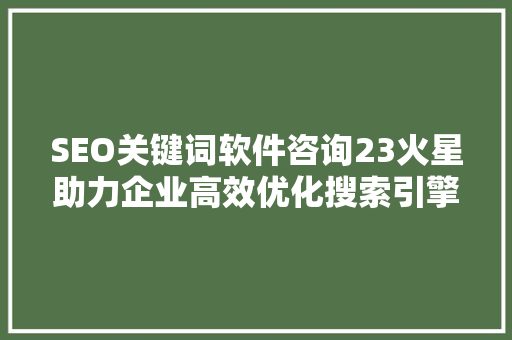 SEO关键词软件咨询23火星助力企业高效优化搜索引擎排名