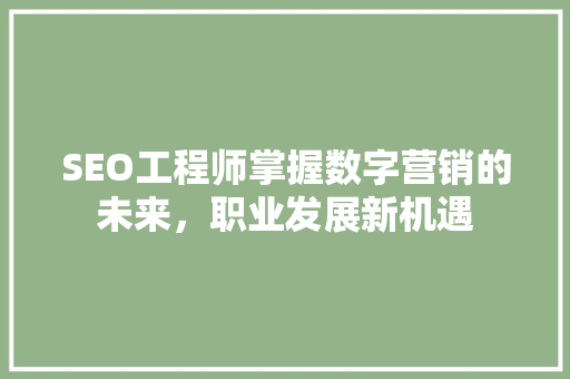SEO工程师掌握数字营销的未来，职业发展新机遇